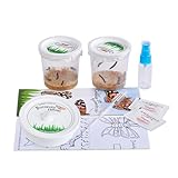 10 Live Caterpillars for Butterfly Habitat Kit - Refill for Painted Lady Butterfly Kit with Caterpillar Food, Mister,...