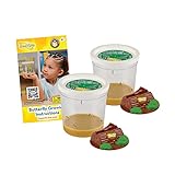 Two Cups of Caterpillars - Life Science & STEM Education - Butterfly Kit Refill – Painted Lady Butterflies –...