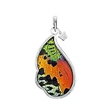 Myths, Real Butterfly Wing Pendants for Necklaces, 925 Sterling Silver, Medium Scalloped Wing Shaped Pendant with Urania...