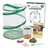 Insect Lore Butterfly Garden | Butterfly Kit with Live Caterpillars | 5 Caterpillars, Reusable Habitat, STEM Butterfly...