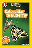 Caterpillar to Butterfly (National Geographic Kids Explore! Readers, Level 1) (National Geographic Kids Readers)