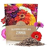 Zinnia Seeds - California Giants Mix - Large 1 Ounce Packet - 3,000 Flower Seeds - Mixed Colors and Large Blooms