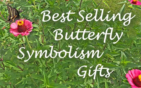 best butterfly symbolism gifts