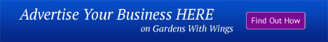 Advertise on Garden and Butterfly Website