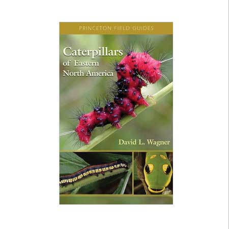 Caterpillars of Eastern North America by David L. Wagner