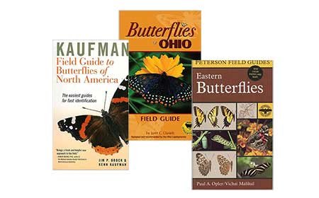 The Nature Books We Actually Read (and Love!)