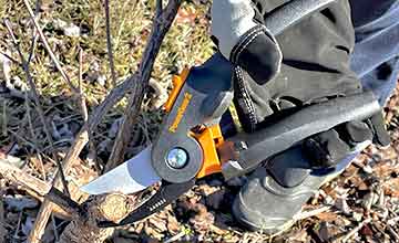 Choosing the Right Pruning Shears