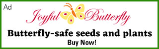 butterfly-safe seeds and plants. order yours today