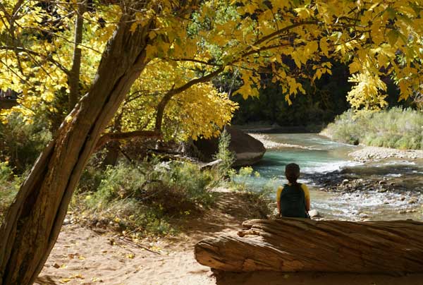 person sitting in the woods by a creek